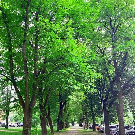 Arka Juhkentali アパート *