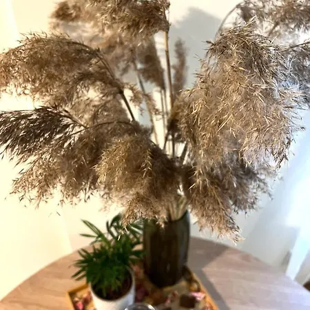 アパート Arka Juhkentali *