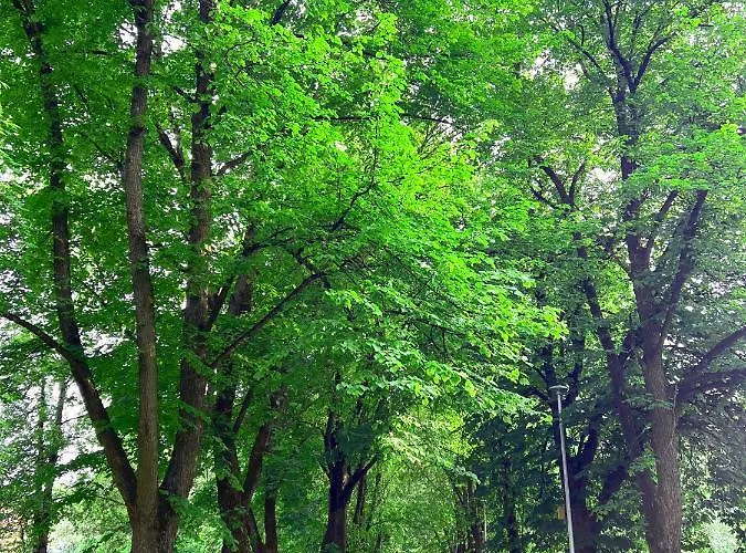 Arka Juhkentali Appartamento *