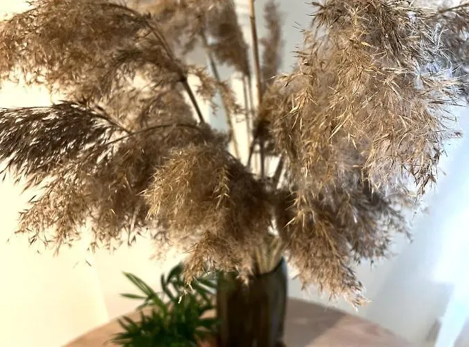 Appartamento Arka Juhkentali *